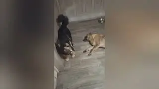 Наболело..... Накипело.... Жаль, что слышат нас единицы!