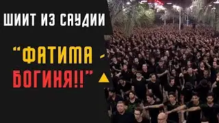 ШИИТ ИЗ САУДИИ: Фатима богиня! Объединимся!