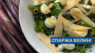 Салат з фіолетовою спаржею та анчоусами | Спаржа Волині з Максимом Нікітіним