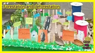 Forestation and deforestation, Afforestation #botanywithyoutube
