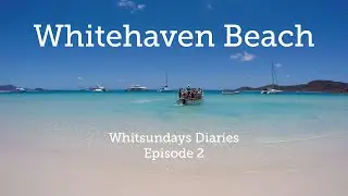 Whitehaven Beach Half Day Tour | Whitsundays Diaries Episode 2