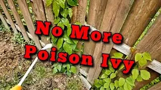 How to get rid of poison Ivy at home 