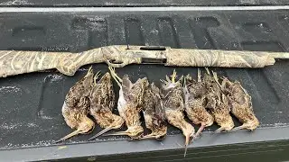 snipe hunting 2022 (aka miniature fighter jets)