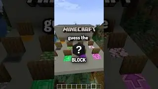 Minecraft guess the block  #minecraft #gaming