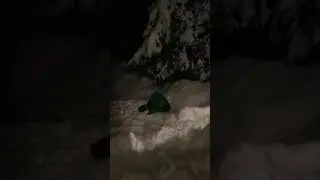 Как кувыркаться в снегу?! Не вопрос, я отвечу 😉!!!