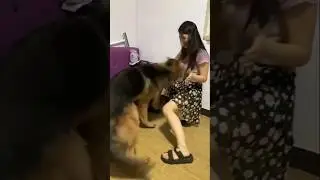 Dog 🐕 playing girl short video viral #praying #girl #dog