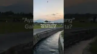 ayang dah pulang.. mau nyusu ?