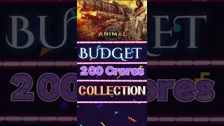Animal movie total budget and collection