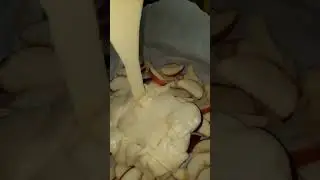 26 января 2023 г.