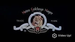 Metro-Goldwyn-Mayer Logo History (1915-2024)