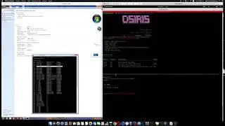 Microsoft Windows Remote Desktop - 'BlueKeep' Denial of Service by osiris-framework