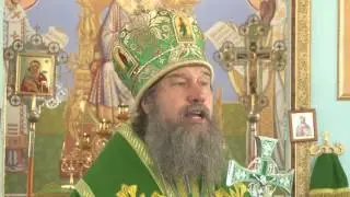 Слово епископа Максима на Литургии в Христо-Рождественском храме с. Перехваль