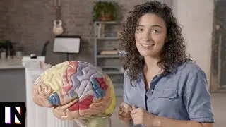 Your Brain on Music | Presented by Samsung
