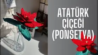 MAKING ATATURK FLOWER / PONSETIA FLOWER