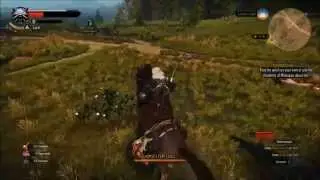 The Witcher 3: Wild Hunt R9 290 1920x1080 Benchmark