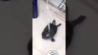 😂 НА ТУСЕ 😂