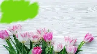 green screen paint brush 1
