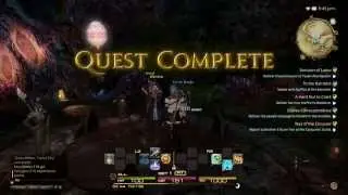 Final Fantasy XIV: A Reaml Reborn PS4 - Gameplay 7