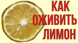 Простой способ ОЖИВИТЬ засохший лимон, никогда не выбрасываю, а делаю это...