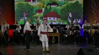 IONUȚ COCOȘ   - Pustia de noapte mică