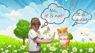 16. Yes, it is. No, it is not.
