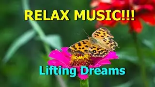 Relaxing music with Nature:Aakash Gandhi - Lifting Dreams