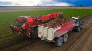 Harvesting Carrots w/ Dewulf RA 3060