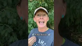 🕊️340 FREE Bibles! 🙌🏼 #shorts #bible #giveaway #thankyou #thankyoujesus #victorybelongstojesus