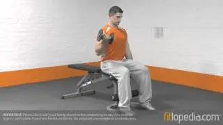 Alternate Seated Dumbbell Curl