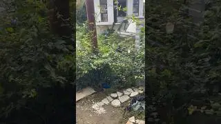 КАМАЗ 55111 самосвал (сильно дымит) #PEREGRUZ