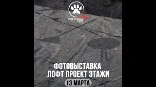 Фотовыставка 