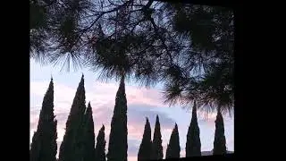 Cypress - Color Time (Full Album 2024)