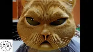 1 Bit 2 Bit 4 Bit 8 Bit 16 BIT 32 Bit 128 Bit (Average Garfield in Oklahoma)