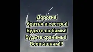 Дорогие братья и сестры! Будьте любимы! Будьте хранимы! Всевышним!