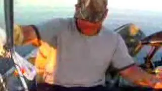 Fish Fight Part 3 