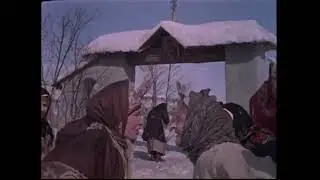 курицы дерутся