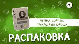Дополнение «Чёрная соната. Прекрасный юноша» — распаковка