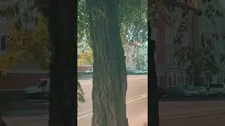 Нет без машины жить нельзя