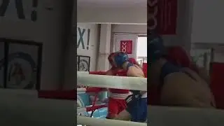 ⚔️🦁 #mma #ufc #boxing #мма #sports #wrestling #бокс #бой #fighter #islammakhachev