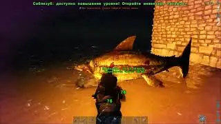 ARK часть 2 (поход за хищниками)