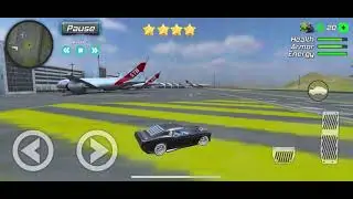 At the airport in amazing rope police