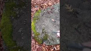 Is your compass a liar? 