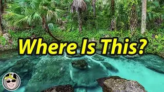 This is One of THE BEST Things to do in Florida | Rix Road Trips