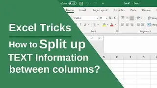 How to SPLIT UP Text information between columns in EXCEL Spreadsheet