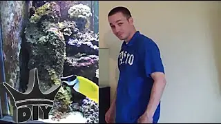 HOW TO: Set up a saltwater aquarium