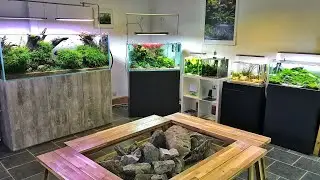 So Many Beautiful Aquascapes!! 💚