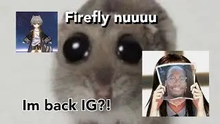 🎻Penacony Experience Summary [I am back]