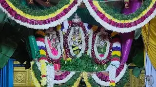 Vaikuntha Ekadashi Special Temple Video #temple #traveller #vaikuntaekadasi2023 #laddu