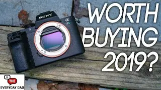 Is the Sony A7SII Worth Buying in 2019?!  The Low Light MONSTER!