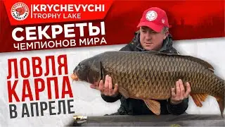 Ловля карпа весной, в апреле